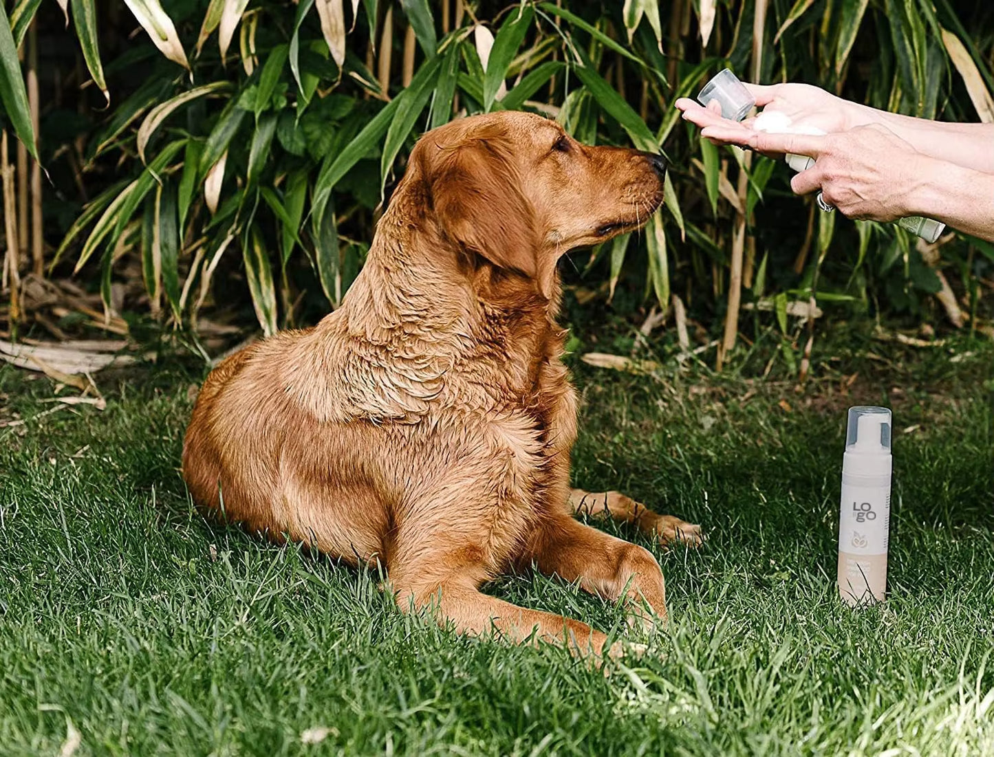 Private Label Dry Shampoo for Pets Natural Ingredients Deodorising Soothing Revitalise No Rinsing Pet Shampoo Coconut & Oat